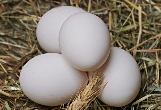 Vaječná diéta zahŕňa dennú konzumáciu kuracích vajec. 
